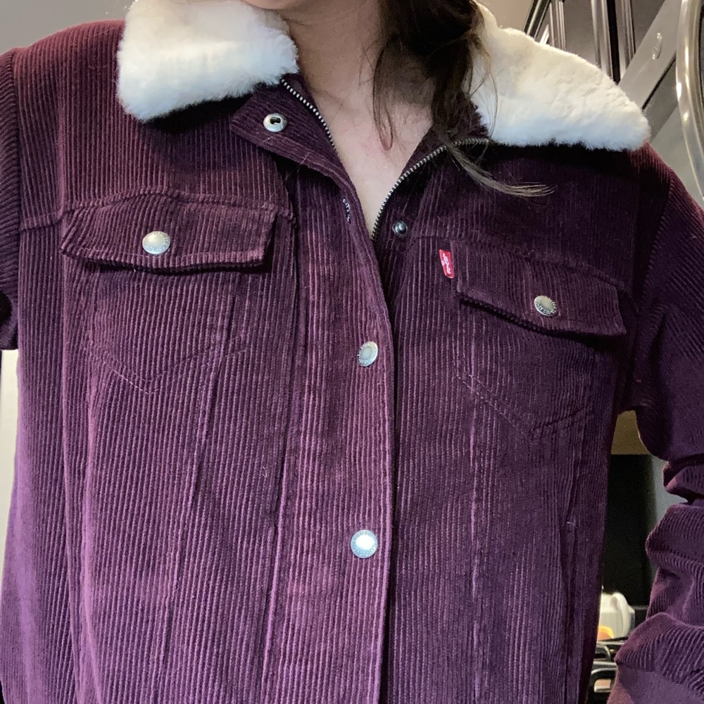 Faux Fur Collar Corduroy Bomber Jacket In Burgundy/ Cream